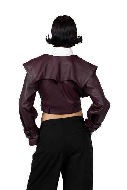 The Burgundy Artefact